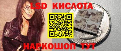 spice Свободный