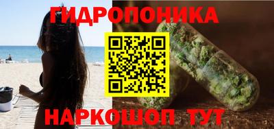 spice Свободный