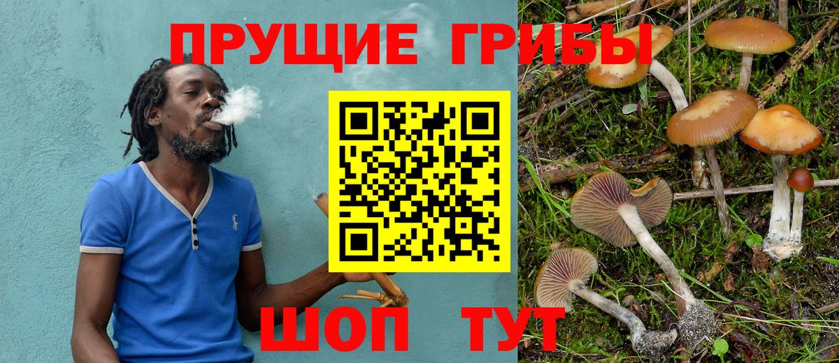 Псилоцибиновые грибы MAGIC MUSHROOMS  Вход с VPN  Полысаево 