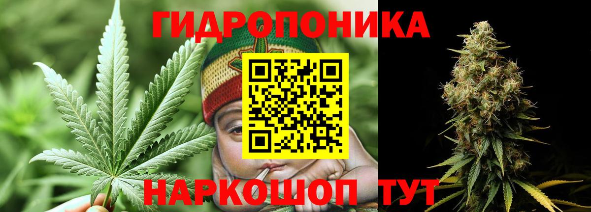 Каннабис индика Полысаево
